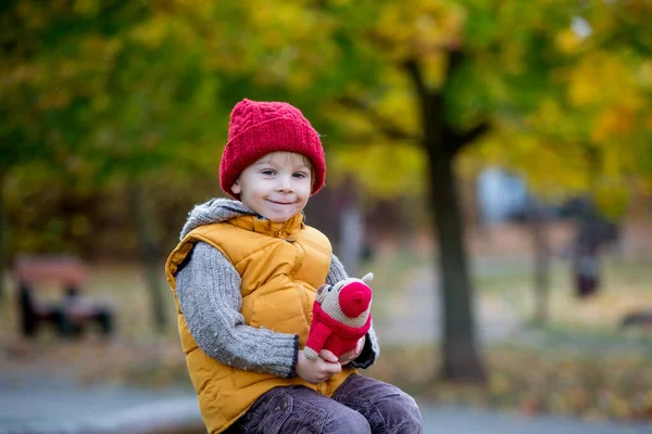 幸せな子供は 晴れた日に秋の公園で遊んで 葉や葉を彼の周りに残し リンゴを食べる — ストック写真