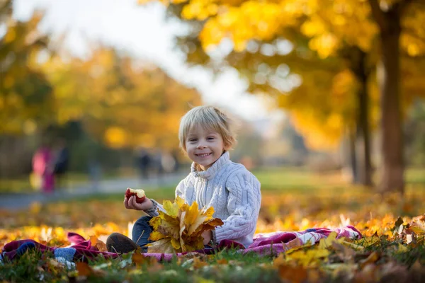 Mutlu çocuklar, sonbahar parkında evcil köpekle oynuyorlar güneşli bir günde, yapraklar ve yapraklar etraflarında.
