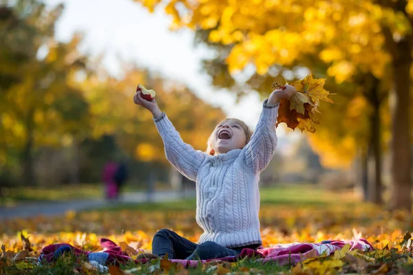 Happy Children Playing Pet Dog Autumn Park Sunny Day Foliage — Stock fotografie