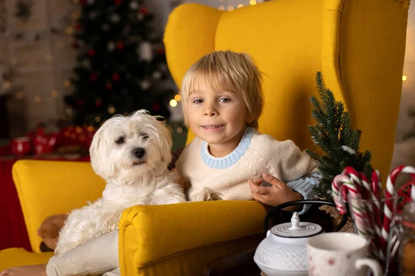 Niedliches Kleinkind Junge Und Sein Maltesischer Hund Auf Einem Gelben — Stockfoto