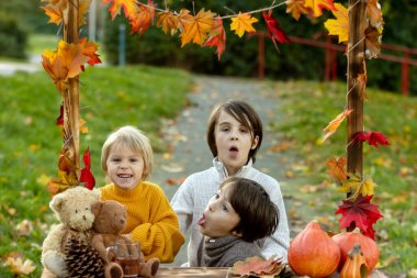 Şirin sarışın çocuk ve kardeş kardeşler, sonbahar ahşabının yanında duruyorlar, süslemeleri, elmaları, yaprakları, kupaları, parkta, sonbahar zamanı