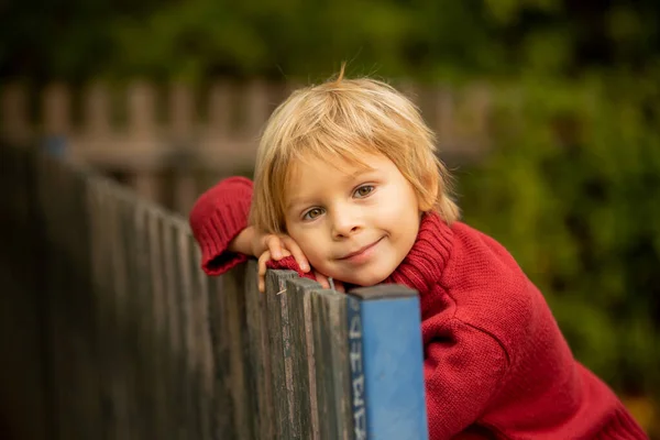 Ritratto Autunnale Tenero Bambino Biondo Nel Parco Sorridente Autunnale — Foto Stock