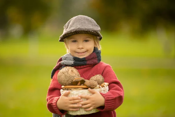 Biondo Carino Bambino Bambino Ragazzo Che Tiene Funghi Nel Parco — Foto Stock