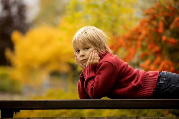 Höstporträtt Ett Gulligt Blont Småbarn Parken Leende Höst — Stockfoto