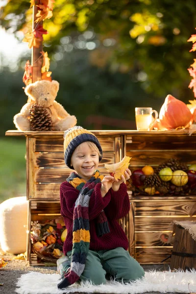 Милая Блондинка Ребенок Стоя Рядом Осенью Деревянный Стенд Украшением Яблоки — стоковое фото