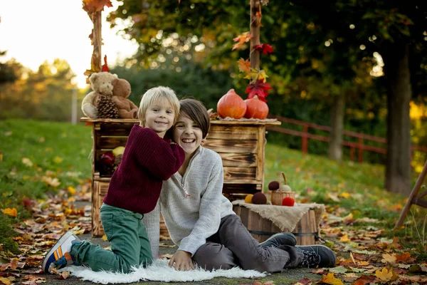 Cute Blond Toddler Child Sibling Brothers Standing Next Autumn Wooden — Stock Photo, Image