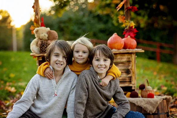 Şirin Sarışın Çocuk Kardeş Kardeşler Sonbahar Ahşabının Yanında Duruyorlar Süslemeleri — Stok fotoğraf