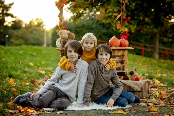 可爱的金发碧眼的小孩和兄弟姐妹 站在秋天的木立旁边 装饰着苹果 公园里的树篱 — 图库照片