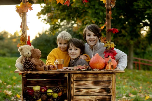 Nettes Blondes Kleinkind Und Geschwisterchen Neben Herbstlichem Holzstand Mit Deko — Stockfoto