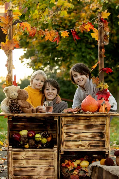 Bonito Criança Loira Irmãos Irmãos Lado Estande Madeira Outono Com — Fotografia de Stock
