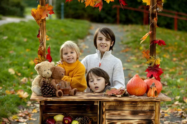 Lindo Niño Rubio Hermanos Hermanos Pie Junto Soporte Madera Otoño — Foto de Stock