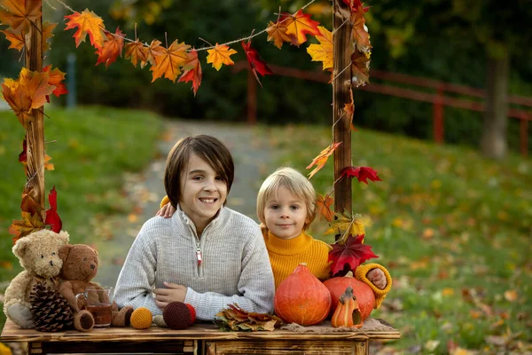 Bonito Criança Loira Irmãos Irmãos Lado Estande Madeira Outono Com — Fotografia de Stock