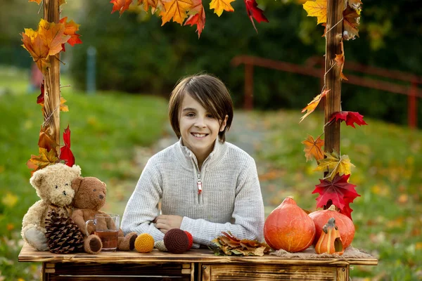 かわいいブロンドの幼児の子供と兄弟 公園で装飾 リンゴ マグカップ ハリネズミ 秋の木製のスタンドの横に立って — ストック写真