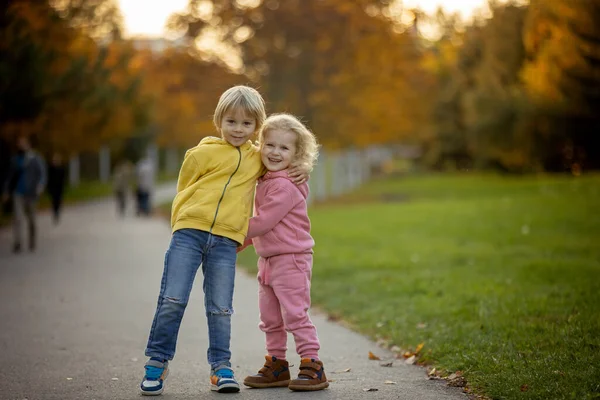 Симпатичные Блондинка Ребенок Девочка Прогулка Осеннем Парке Закате Наслаждаясь Красивой — стоковое фото