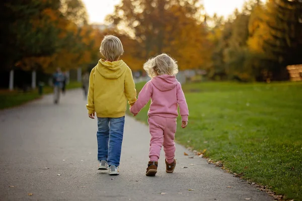 可爱的金发碧眼的孩子们 男孩女孩们 黄昏时分漫步在秋天的公园里 享受着美丽的大自然 秋天的时光 — 图库照片