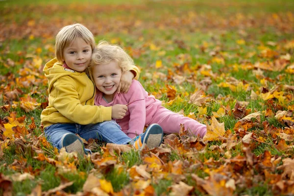 かわいい金髪の幼児の子供たち男の子と女の子 日没の秋の公園を歩いて 美しい自然 秋の時間を楽しんで — ストック写真