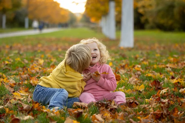 Carino Bambino Biondo Bambino Ragazzo Ragazza Passeggiando Nel Parco Autunnale — Foto Stock