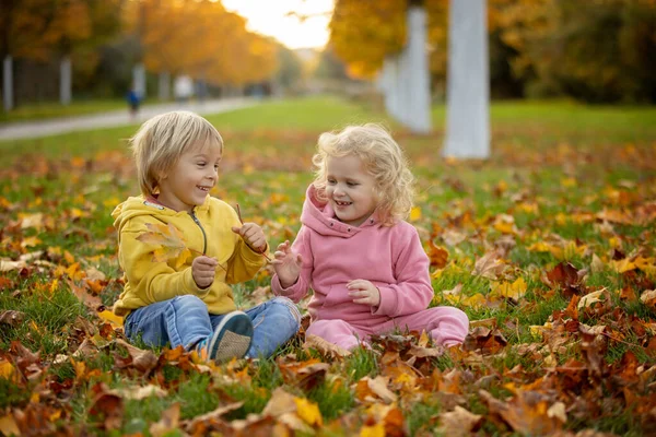 Söta Blonda Barn Pojke Och Flicka Promenader Höstparken Solnedgången Njuta — Stockfoto