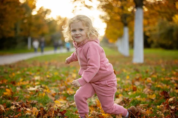 Bonito Criança Loira Criança Menino Menina Andando Parque Outono Pôr — Fotografia de Stock