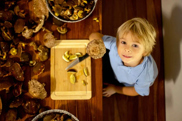 Mignon Blond Tout Petit Enfant Garçon Couper Des Champignons Maison — Photo