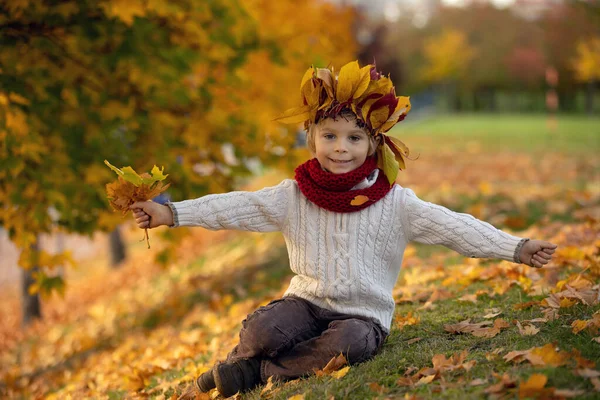 Förtjusande Litet Barn Blond Pojke Med Krona Löv Parken Höstdagen — Stockfoto