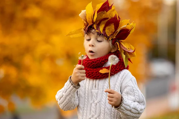 Criança Pequena Adorável Menino Loiro Com Coroa Folhas Parque Dia — Fotografia de Stock