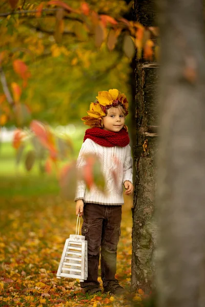 Adorable Little Child Blond Boy Crown Leaves Park Autumn Day — Stock Photo, Image