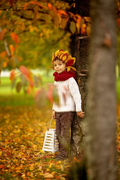 Adorabile Bambino Piccolo Ragazzo Biondo Con Corona Dalle Foglie Nel — Foto Stock