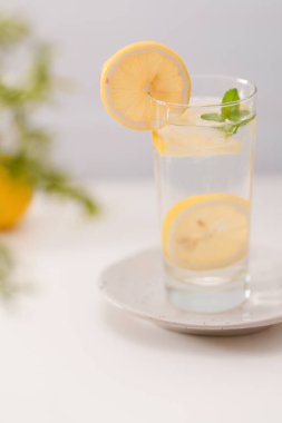 Limon ve nane ile soğuk, ferahlatıcı soğuk limonata veya Mojito, Detox içeceği..