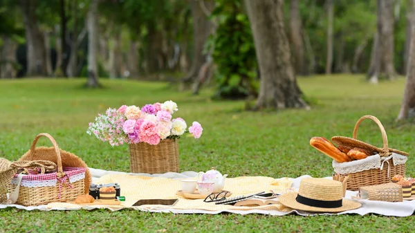 Espaço Piquenique Parque Decorado Com Cesta Piquenique Baguete Uma Cesta — Fotografia de Stock