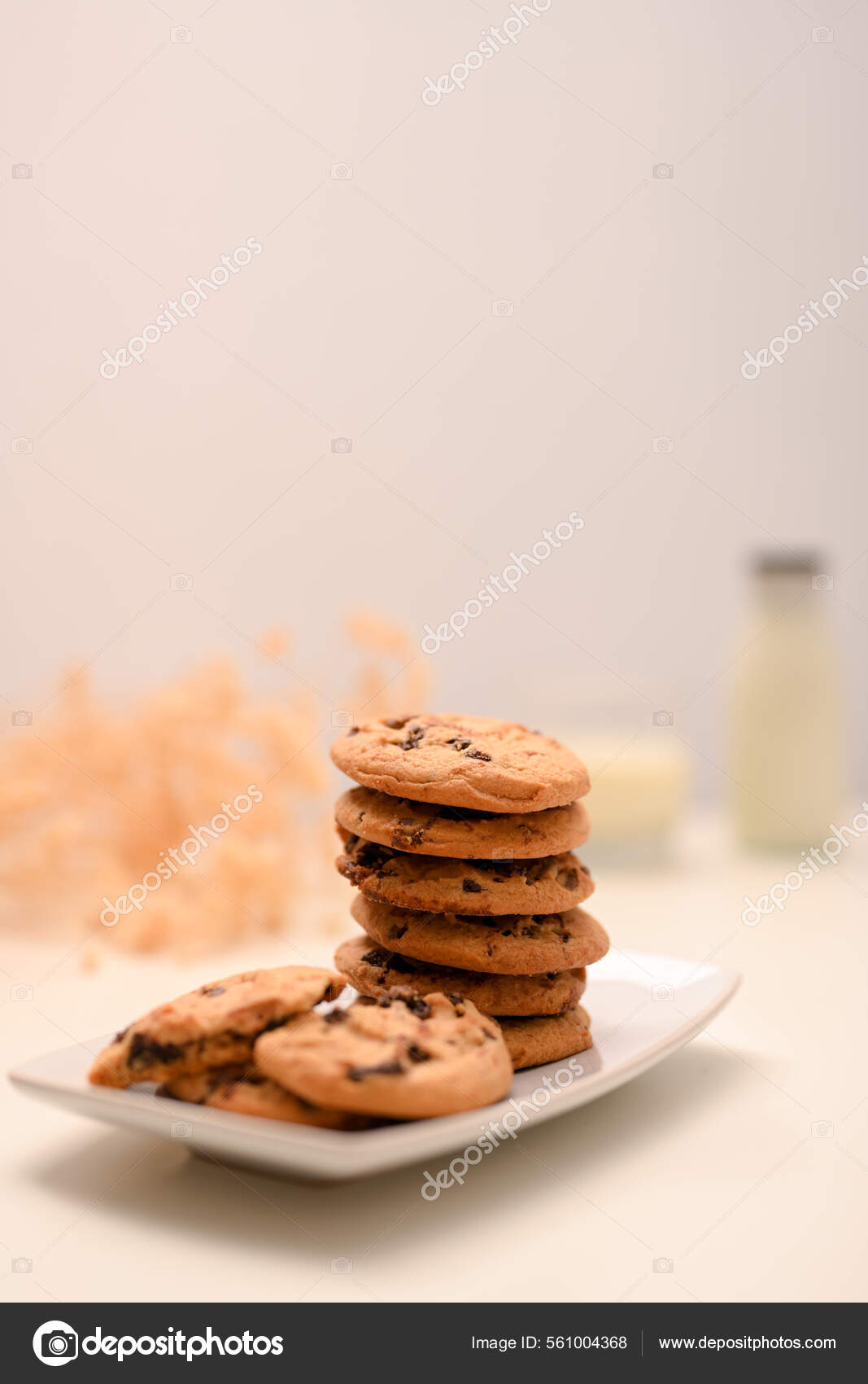 精美的巧克力曲奇饼放在白盘上背景明亮带有巧克力块的花生酱饼干——图库图片© BongkarnGraphic #561004368, image size:1067x1700