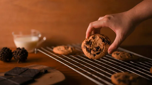 Female Hands Picking Piece Freshly Tasty Baked Chocolate Chip Cookies — Stock Photo, Image