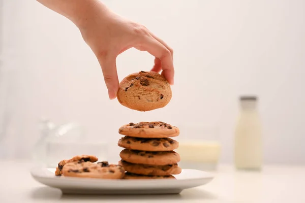 Freshly Baked Chocolate Chip Cookies White Plate Female Hand Holding — Stock Photo, Image