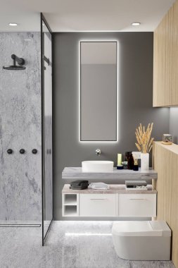 Modern banyo lavabosu, yağmur banyosu, modern klozet ve dekorları olan modern banyo iç tasarımı. Çatı katı ve gri duvar. 3d görüntüleme, 3d illüstrasyon