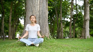 Rahat ve huzurlu genç Asyalı kadın güzel parktaki bir ağacın altında meditasyon yapıyor. Meditasyon pozu kavramı