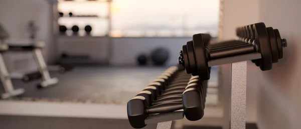 Row Dumbbells Modern Fitness Gym Sport Equipments Background Rendering Illustration — Fotografia de Stock