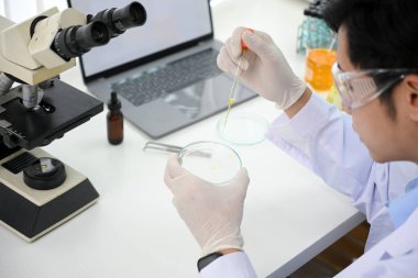 Yakışıklı Asyalı genç bilim adamı ya da tıbbi araştırmacı laboratuardaki bir petri kabına numune yerleştirir. yakın plan resim