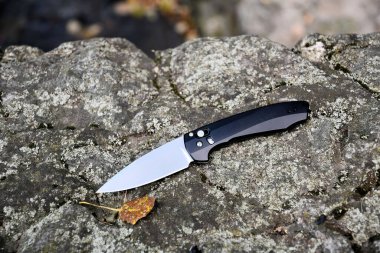 Katlanan bıçak keskin siyah saplı gri taş kuru sarı yapraklı makro.