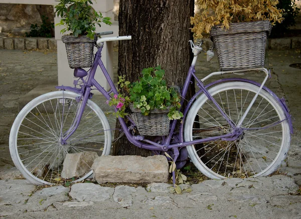 Retro rosafarbenes Fahrrad mit Blumen — Stockfoto