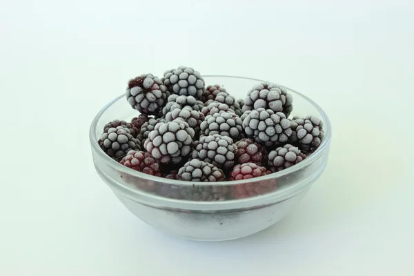 Frozen Blacberry — Stock Photo, Image