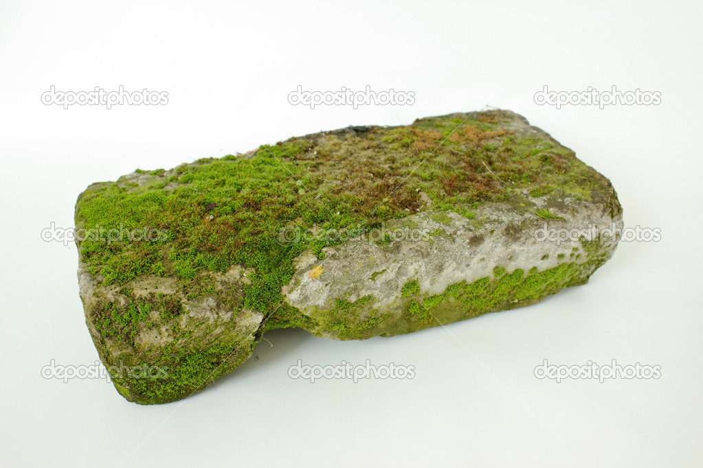 Old Brick with Moss on White Background