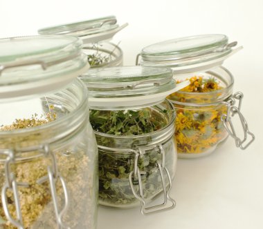 beyaz zemin üzerine cam botltles otlar