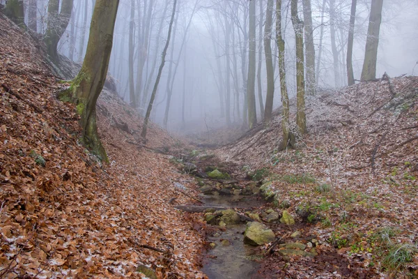 Piccolo ruscello in inverno — Foto Stock