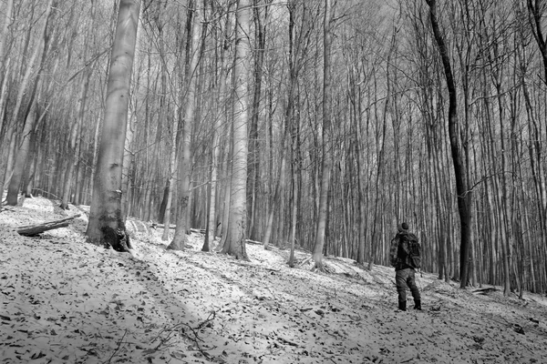 Hombre en el bosque de invierno — Foto de Stock