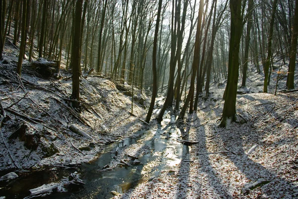 Piccolo torrente in inverno — Foto Stock