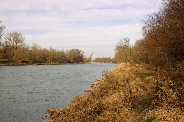 Διαρροή του ποταμού με δέντρα και γρασίδι κίτρινο — Φωτογραφία Αρχείου
