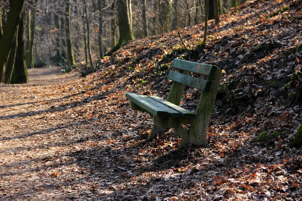 Panchina solitaria nel parco — Foto Stock