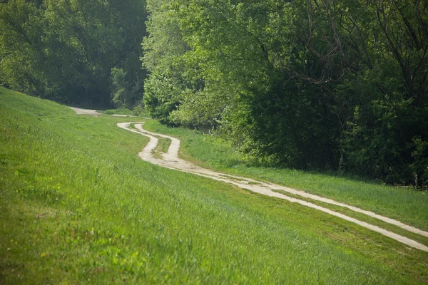 Piccolo Bypath Vicino alla Foresta — Foto Stock