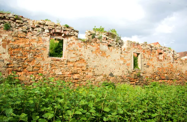 Yeşil bitkiler ile antik tuğla duvar — Stok fotoğraf
