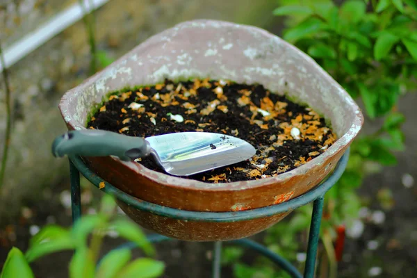 植木鉢に庭のスクープ — ストック写真